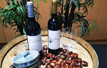 vinho malaca castelao